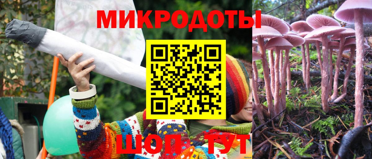 Дагестанские Огни  Псилоцибиновые грибы прущие грибы  Вход с VPN 